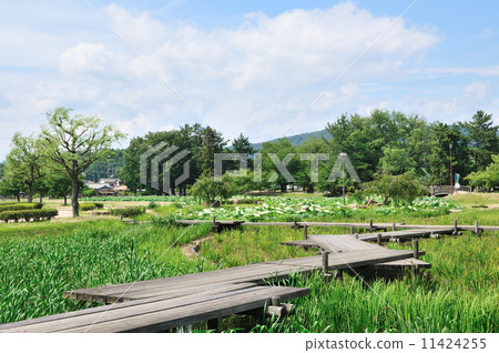 Ben-Takamatsu Castle 11424255
