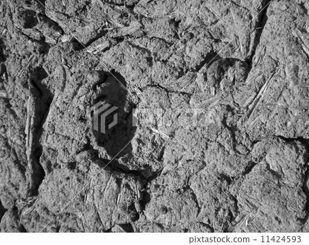 粘土牆 粘土牆 11424593