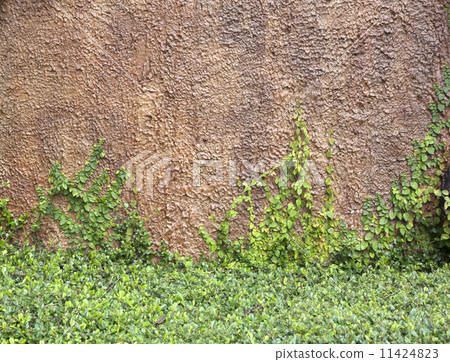 The Green Creeper The Green Creeper 11424823