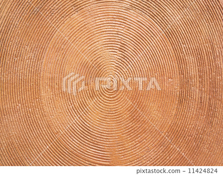 cement wall Background 11424824