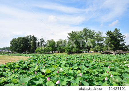Ben-Takamatsu Castle Ben-Takamatsu Castle 11425101