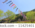 Koinobori Festival 11425401