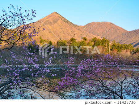 Morning of Shinshū Morning of Shinshū 11425736