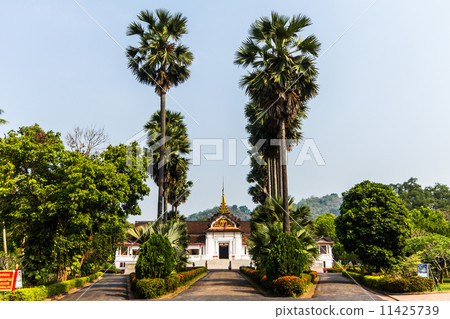Royal Palace Museum, Luang Prabang, Laos 11425739