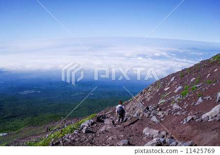 富士山 11425769