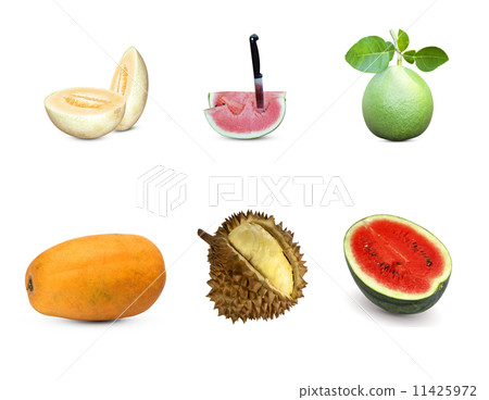 melon melon 11425972