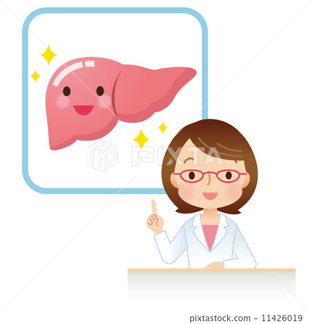 Medical health Liver Medical health Liver 11426019