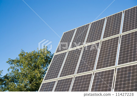 Solar panel and tree 11427228