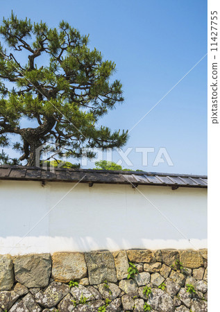 灰泥襯裡牆 灰泥襯裡牆 11427755