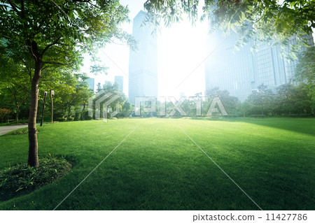 park in  lujiazui financial center, Shanghai, China 11427786