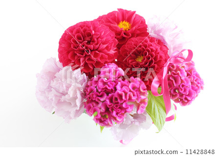 Arrangement of Dahlia, Kaito and Turkish Frans (Ribbon) 11428848