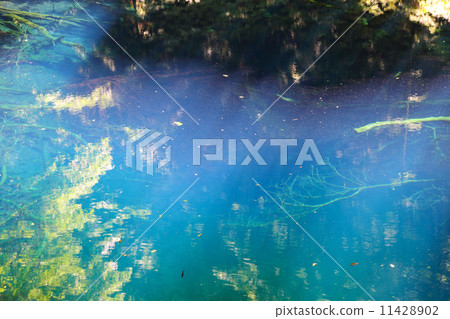 青池 青池 11428902