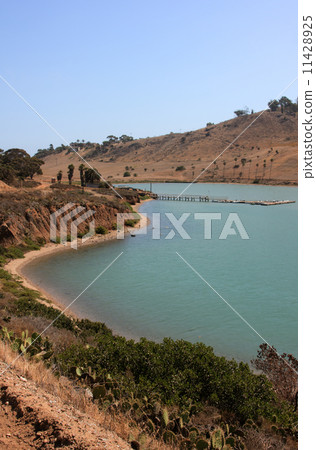 Scenic Landscape Catalina Harbor 11428925