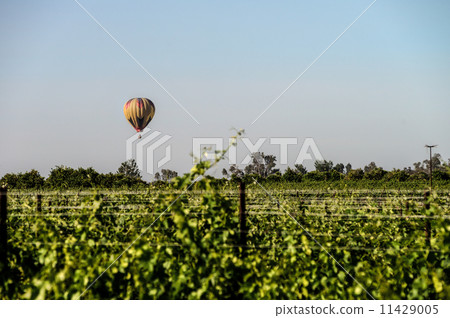 Temecula Hot Air Balloon Festival 11429005