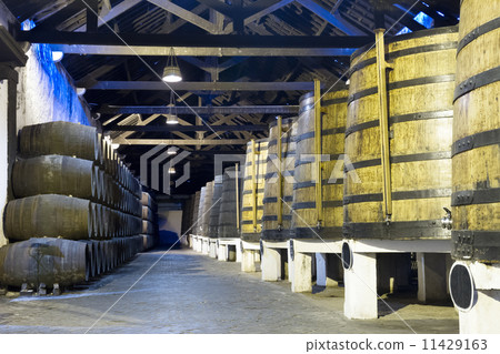 cellar with wine barrels cellar with wine barrels 11429163