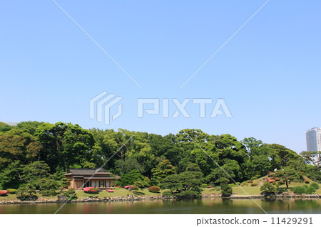 Hamarikyu Garden 11429291