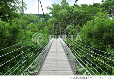 Gunma prefecture Katashina village Ozekebara Yoppi bridge Gunma prefecture Katashina village Ozekebara Yoppi bridge 11429995