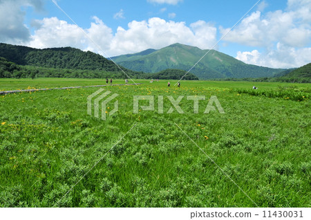 Gunma prefecture Katashina village Summer's Ozekehara hiking 11430031