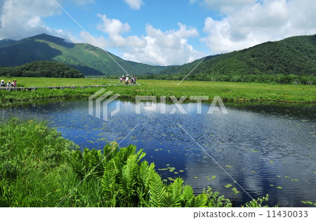 群馬縣Oze Ogase國家公園夏季Ozekebara徒步旅行 群馬縣Oze Ogase國家公園夏季Ozekebara徒步旅行 11430033
