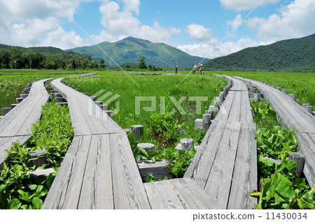 Gunma prefecture Katashina village Summer's Ozekehara hiking Gunma prefecture Katashina village Summer's Ozekehara hiking 11430034