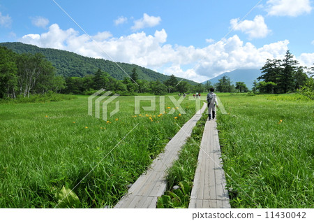 Gunma prefecture Katashina village Summer's Ozekehara hiking 11430042