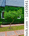 small chapel with green trees 11430641