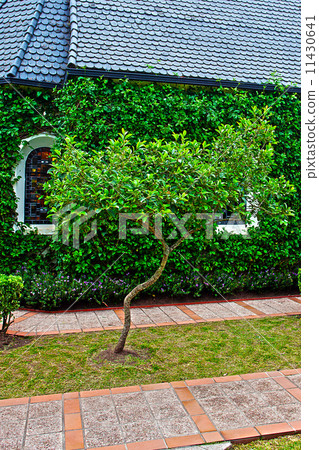 small chapel with green trees small chapel with green trees 11430641