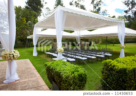 wedding marquee with bouquets of roses 11430653