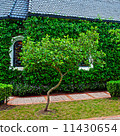 small chapel with green trees 11430654