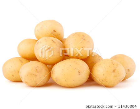 new potato tuber isolated on white background cutout new potato tuber isolated on white background cutout 11430804