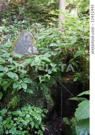 One hundred famous water springs of a monkey store One hundred famous water springs of a monkey store 11431445