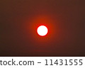 Egg Yolk Sunset 11431555