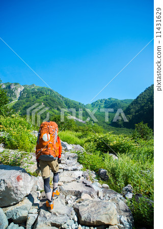 北阿爾卑斯山在夏天 11431629