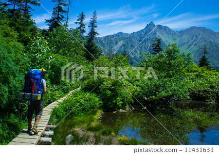 Northern Alps in summer Northern Alps in summer 11431631