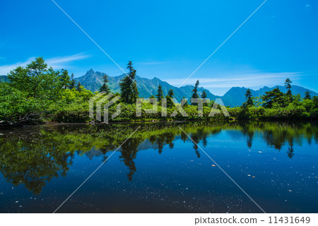 Northern Alps in summer 11431649