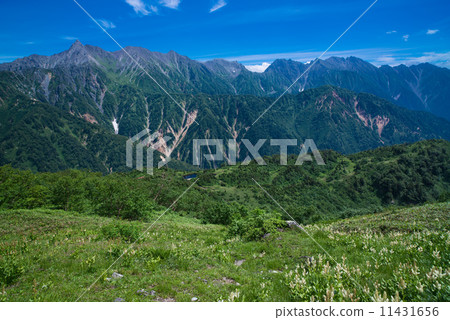 Northern Alps in summer Northern Alps in summer 11431656