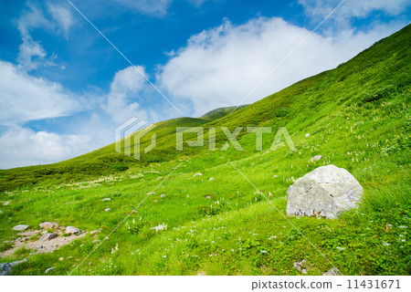 Northern Alps in summer 11431671