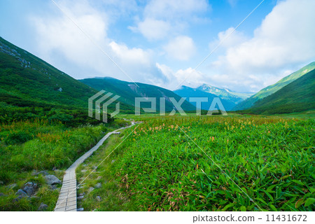 Northern Alps in summer 11431672