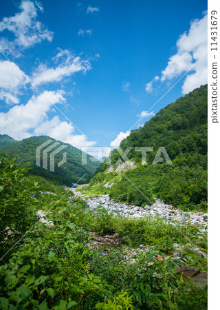 Northern Alps in summer 11431679