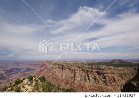 Grand Canyon  11431924