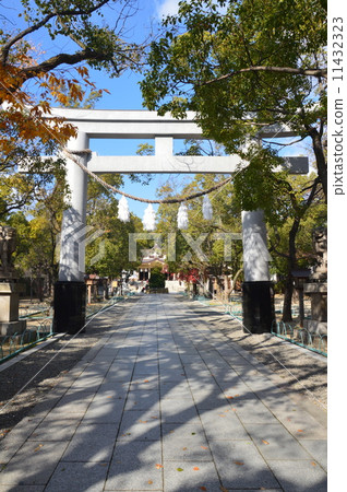 Minatogawa Shrine(兵庫縣中央區中央區) Minatogawa Shrine(兵庫縣中央區中央區) 11432323