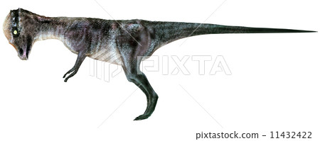 Ishibo dinosaur Pakkefaro Saaurus ☆ Pachycephalosaurus 11432422