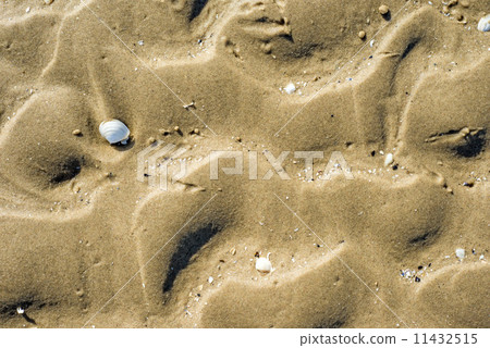 Beach with tracks 11432515