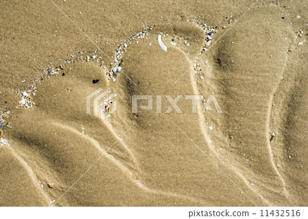 Beach with tracks Beach with tracks 11432516