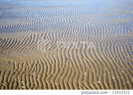 Beach with tracks 11432525
