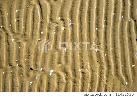 Beach with tracks Beach with tracks 11432539