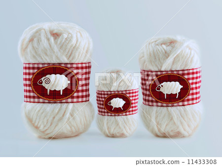 Parent and child of sheep 11433308