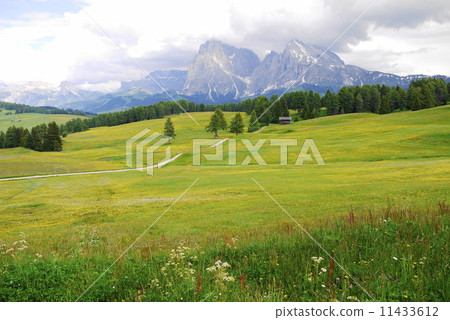 Alpe di Siusi Ciriar · Catinaccio National Park Parco Naturale Sciliar-Catinaccio 11433612