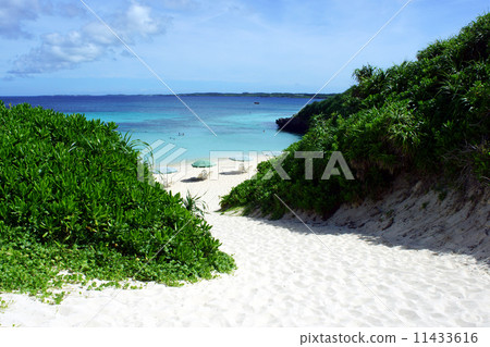 沙灘 沙灘 11433616