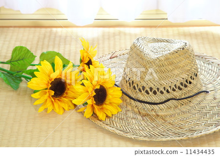 Summer day 11434435